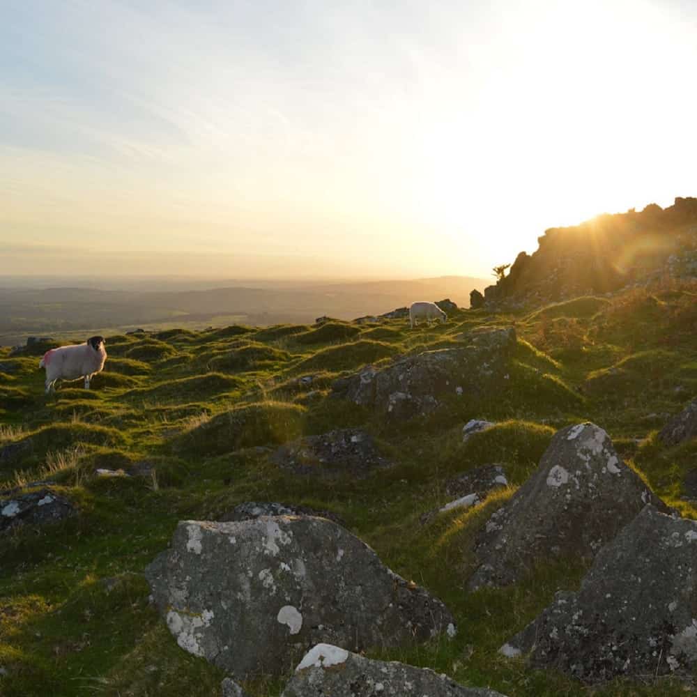 Cox Tor at sunset