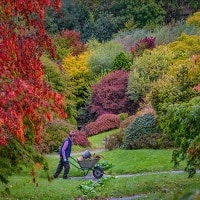 Autumn at The Garden House
